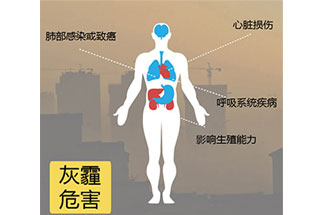 空氣中PM2.5 是由什么物質(zhì)組成的？